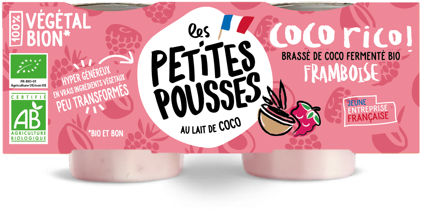 Vrai faux yaourt lait de coco et framboise